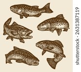  Vintage Trout Fish Illustration Set, Hand Drawn Freshwater Fish Vector Collection