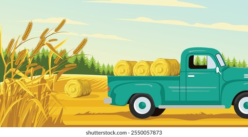 A vintage truck carrying hay bales through a golden field.