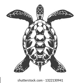 Vintage turtle top view concept in monochrome style isolated vector illustration
