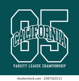 Vintage typography college united states of america state varsity league championship retro number slogan colorful print for graphic tee t shirt or sweatshirt hoodie - Vector