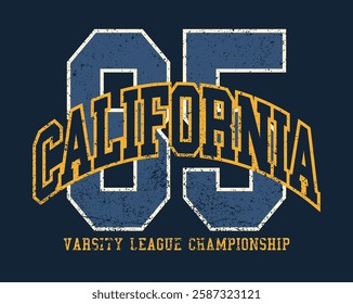 Vintage typography college united states of america state varsity league championship retro number slogan colorful print for graphic tee t shirt or sweatshirt hoodie - Vector