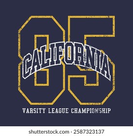 Vintage typography college united states of america state varsity league championship retro number slogan colorful print for graphic tee t shirt or sweatshirt hoodie - Vector