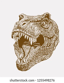 Vintage tyrannosaurus , retro sketchy illustration,vector
