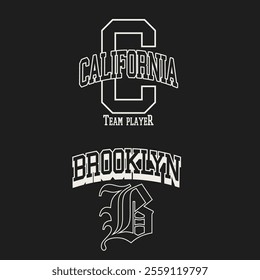 Vintage varsity college typography california brooklyn vector illustration for graphic tee t shirt or sweatshirt hoodie 