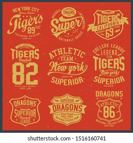 Vintage varsity vector graphics and grunge backgrounds.