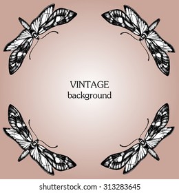 Vintage vector background with butterfly, hand drawn ink illustration