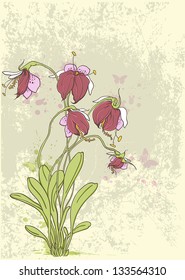 Vintage vector background with red orchids