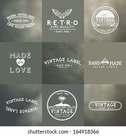 Vintage Vector Badges with blurred backgrounds.