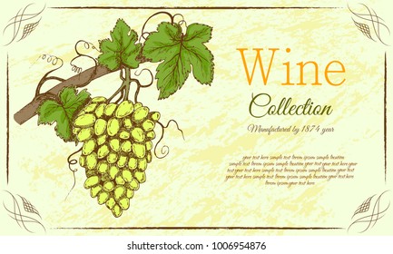 Vintage vector banner with painted grapes.