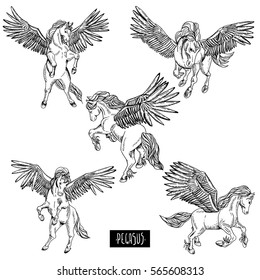 Vintage vector black and white set of winged pegasus, animals design elements, outline collection