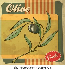 vintage vector border art olive background vegetable food retro antique retro card design with olive vintage vector border art olive background vegetable food retro antique classic texture branch dirt