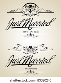 Vintage vector calligraphic set