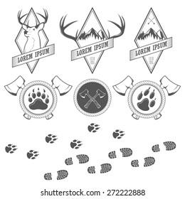 Vintage  vector camping labels, badges and design elements