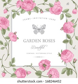 Vintage vector card with beautiful pink garden roses on a gray background. Victorian style.