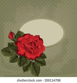 Vintage vector card with rose and frame