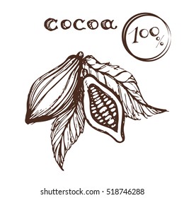 Vintage vector of cocoa.