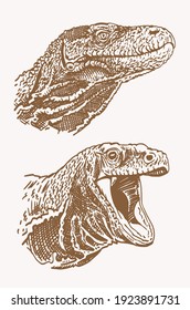 Vintage vector collection of varans, dinosaurs