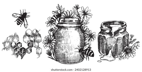 vintage vector drawing on the theme of honey, beekeeping. black and white illustration graphics, sketch. honey, honeycombs, bees.