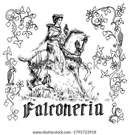 Vintage vector drawing in the style of medieval engraving. The Latin inscription is falconry. A girl rides a horse and holds a Falcon on her hand. The frame is made of an old ornament. Hand-drawn