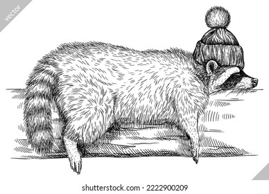 Vintage vector encierra raccoon de moda vestida aislada set ilustración corte boceto de tinta. Lentes de fondo de mascotas salvajes gafas de sombrero hipster arte de mapache