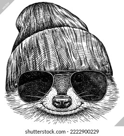 Vintage vector encierra raccoon de moda vestida aislada set ilustración corte boceto de tinta. Lentes de fondo de mascotas salvajes gafas de sombrero hipster arte de mapache