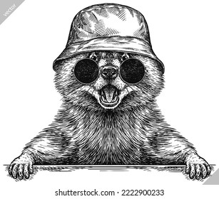 Vintage vector engrave isolated dressed fashion raccoon set illustration costume cut ink sketch. Wild pet background line glasses hipster hat racoon art