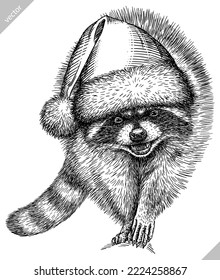 Vintage vector engrave isolated dressed christmas raccoon set illustration santa costume cut ink sketch. Wild pet background line new year hat racoon art