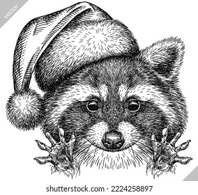 Vintage vector engrave isolated dressed christmas raccoon set illustration santa costume cut ink sketch. Wild pet background line new year hat racoon art