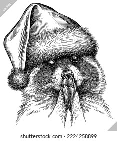Vintage vector engrave isolated dressed christmas raccoon set illustration santa costume cut ink sketch. Wild pet background line new year hat racoon art