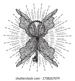 Vintage vector flash tattoo, sticker, patch. Key with wings and rays