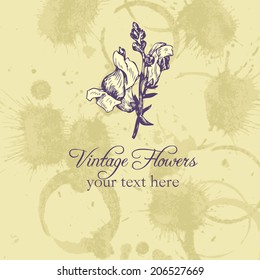 vintage vector floral card, hand drawn  illustration, flower at grunge paper