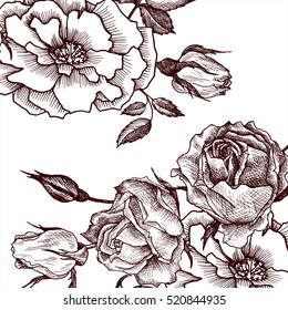 vintage vector floral composition, background in victorian style, template with flowers, buds and leaves, ink drawing, imitation of engraving, hand drawn nature backdrop, invitation or gift card