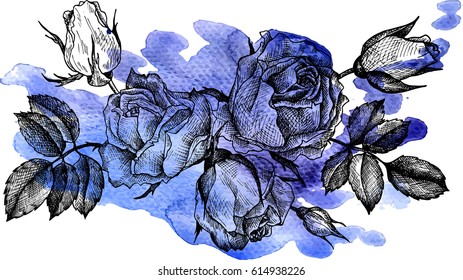 vintage vector floral composition at blue watercolor background, isolated element in victorian style, flowers, buds and leaves of roses, hand drawn illustration