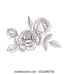 vintage vector floral composition with flowers, buds and leaves of roses, imitation of engraving, hand drawn design element