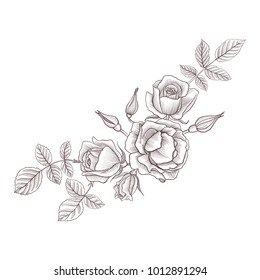 vintage vector floral composition with flowers, buds and leaves of roses, imitation of engraving, hand drawn design element