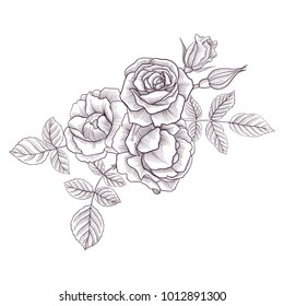 vintage vector floral composition with flowers, buds and leaves of roses, imitation of engraving, hand drawn design element