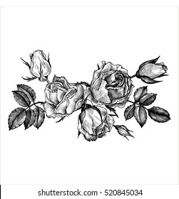 vintage vector floral composition, isolated element in victorian style, flowers, buds and leaves of roses, ink drawing, imitation of engraving, hand drawn composition