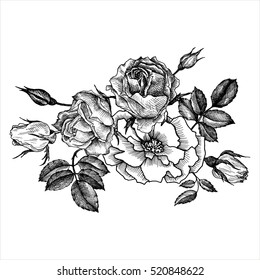 vintage vector floral composition, isolated element in victorian style, flowers, buds and leaves of roses, ink drawing, imitation of engraving, hand drawn composition