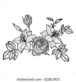 vintage vector floral composition, isolated element in victorian style, flowers, buds and leaves of roses, ink drawing, imitation of engraving, hand drawn composition