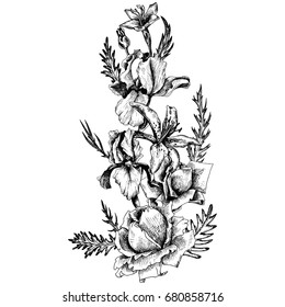 vintage vector floral composition in victorian style, flowers, buds and leaves of roses and irises, ink drawing, imitation of engraving, hand drawn design element