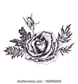 vintage vector floral composition in victorian style with flowers, buds and leaves of roses, ink drawing, imitation of engraving, hand drawn design element