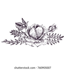 vintage vector floral composition in victorian style with flowers, buds and leaves of roses, ink drawing, imitation of engraving, hand drawn design element