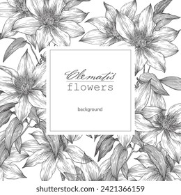 Vintage Vector floral greeting card wedding invitation template design. Engraving Clematis flowers brown elements. Square frame. Hand drawn illustration