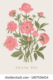 Vintage vector floral illustration. Flower arrangement. Coral Peonies. Greeting card. Thank you