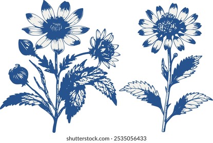 Conjunto floral de Vector Antiguas. Perfecto para invitaciones de boda, tarjetas de felicitación y decoraciones. Con elegantes flores de primavera dibujadas a mano.
