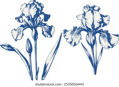 Vintage vector floral set. Perfect for wedding invitations, greeting cards and decorations. With hand drawn elegant Iris flowers.