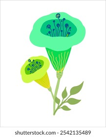 Flor de Vector de Antiguas en un fondo transparente separado de un conjunto de flores y plantas de primavera y verano para el diseño botánico, Clipart, logotipo