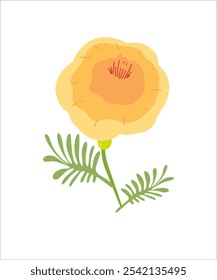 Vintage vector flower on a separate transparent background from a set of spring and summer flowers and plants for botanical design, clipart, logo