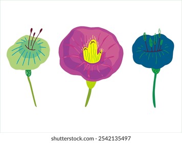 Vintage-Vektorblume auf separatem transparentem Hintergrund aus einer Reihe von Frühlings- und Sommerblumen und Pflanzen für botanisches Design, Clipart, Logo