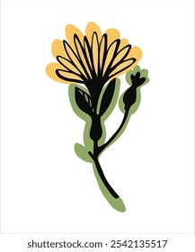 Flor de Vector de Antiguas en un fondo transparente separado de un conjunto de flores y plantas de primavera y verano para el diseño botánico, Clipart, logotipo